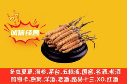 运城回收冬虫夏草